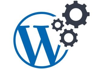 WordPress Maintenance Wordpress Optimization Flat Blue Icon Isolate On White Background Vector Illustration | Seo Icons